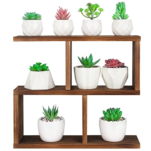 Jotsport Window Sill Plant Stand Small Wood Plant Shelf for Succulents | 2 Ways of Display Desktop Tabletop Plant Rack Multiple Plant Pots Holder