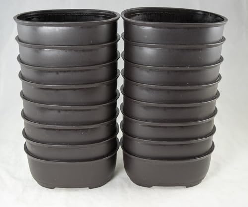Yubonzai Japanese Oval Plastic Bonsai Training Pot, Cactus & Succulent Planter - 5.25"x 4.25"x 2" (16 Pots) - style: 16 Pots