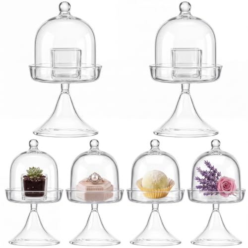 6 Pcs Mini Glass Cloche with Base Glass Display Dome & Acrylic Cube