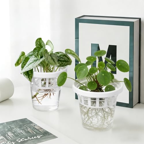 4 Set Wall Planter with Suction Cups Window Propagation Stations