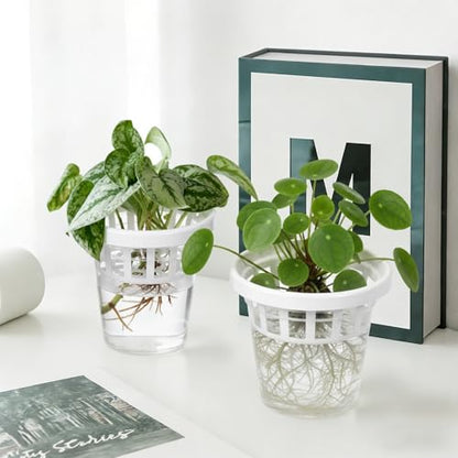 4 Set Wall Planter with Suction Cups Window Propagation Stations