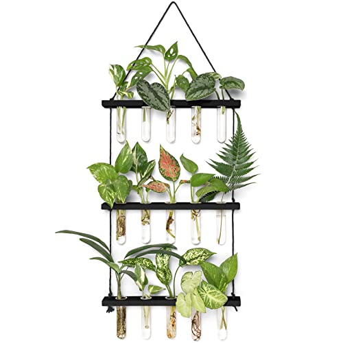 Mkono Plant Propagation Station, 3 Tier Black Wall Hanging Vase Test Tubes | Glass Terrarium Planter,Wooden Stand,for Hydroponic Cuttings Flowers,Bathroom Living Room Office Decor,Plant Lovers Gift - color: Black, size: Medium