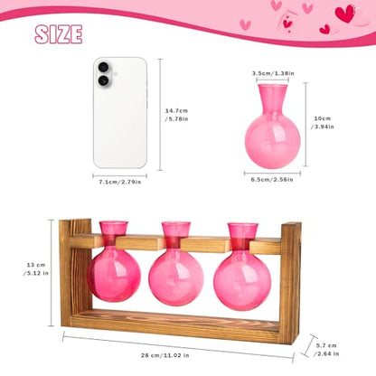 XXXFLOWER Wall Hanging Propagation Station with Wooden Stand Glass Test Tubes+3 Bulb Glass Propagation Station