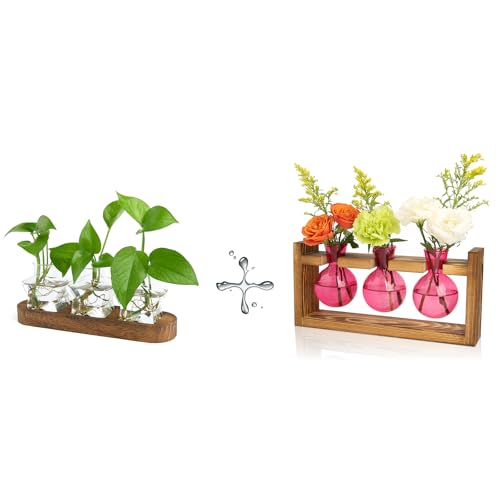 XXXFLOWER Plant Propagation Station with Wooden Stand+3 Bulb Glass Propagation Station with Wooden Stand