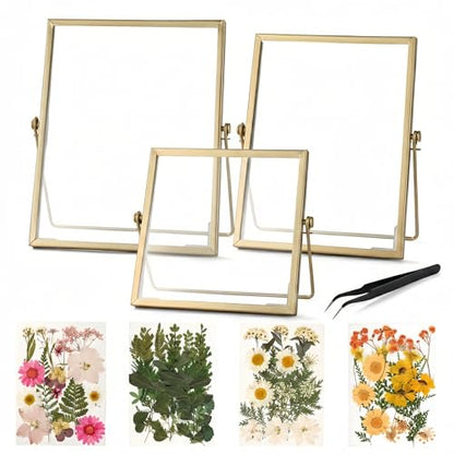 Relaxing Garden Pressed Flower Frame Kit, 3 Frames, 68 Flower Pieces