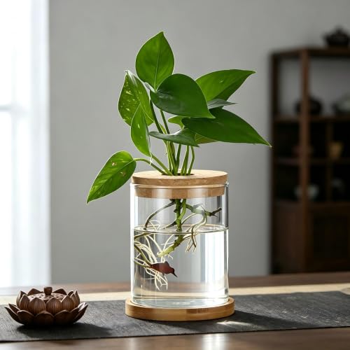 Propagation Stations, Desktop Plant Terrarium Glass Hydroponic Vases, Water Plant Jars, Gardening Gifts for Women Mom Plant Lovers, for Hydroponics Home Garden Office Decoration