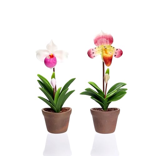 Set of 2 Pieces Orchid Paphiopedilum 3D Fridge Magnets Flower Plant Pot Handmade Orchid from Japanese Clay, Strong Magnets for Refrigerator, Locker, Memo Holder Kitchen - color: Pink