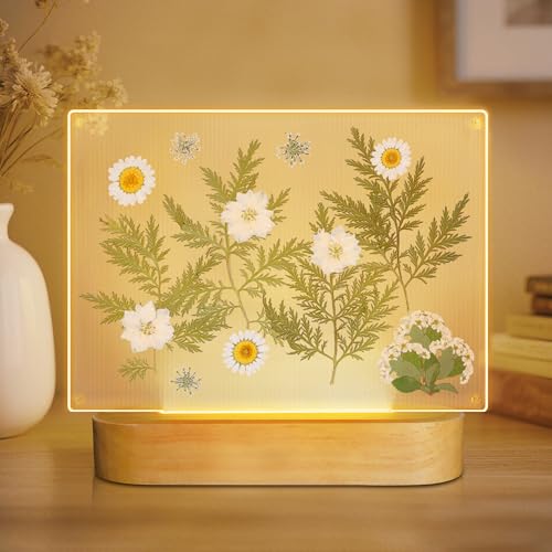 Okayera Dried Flower Night Light - LED Pressed Flower Frame for Home Decor, 4x6 Romantic Gift for Her, Birthday Valentine's Xmas Mothers Day Gift to Girlfriend Wife Mom, Bedroom Tabletop Photo Display - color: White Flower Frame Lamp