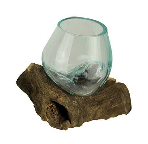 Things2Die4 Molten Glass On Teak Driftwood Decorative BowlVaseTerrarium Planter, One Size