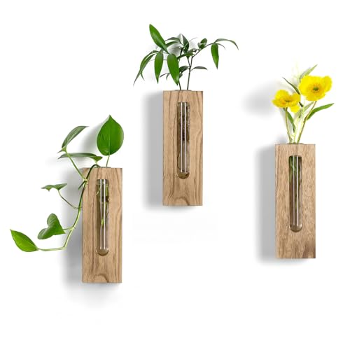 Wood Wall Vase with Glass Tube for Plant Propagation - color: Natural