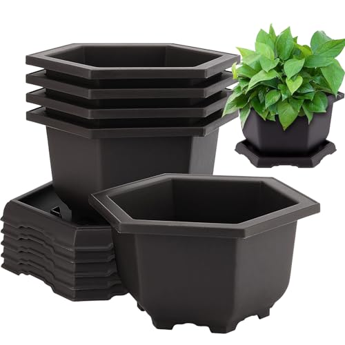 10 Pack 5.5 Inch Bonsai Pots, Hexagon Built in Mesh Plastic Bonsai Training Pots with Trays, Plant Flower Tree Growing Bonsai Planter for Garden Supplies, Yard, Office, Room, Balcony,6 Inch