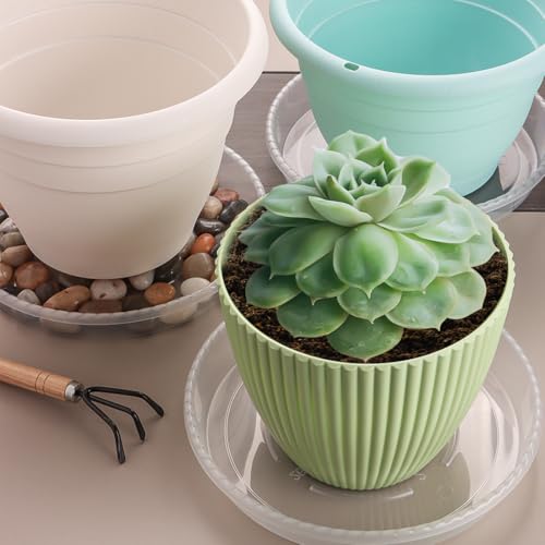 RooTrimmer 10 Pack 12 Inch Plant Saucer for Indoor Plants,Clear Plastic Plant Trays for Pots,Heavy Duty Durable Flower Pot Saucers to Protect Floors & Furniture - size: 12 Inch