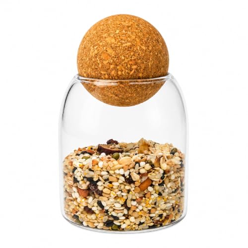 1 Pack 17oz Decorative Glass Jar with Cork Lid
