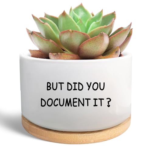 Office Desk Shelf Decor, Ceramic Succulent Plant Pot (Plants Not Included) | Flower Cactus Planter Office Accessories Gifts for Coworker Employee Colleague Women Men Friend, But Did You Document It - style: But did you document it