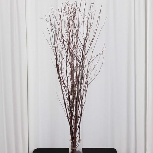 Efavormart 6 Pack 46 inch Natural Decorative Willow Twig Branches, Extra Long Natural Dried Tree Sticks for Rustic Farmhouse Floor Vase and Boho Home Decor - color: Natural