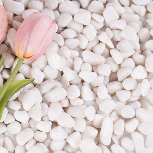 2.2 lbs White Gravel, 1/2 Inch Garden Pebbles - color: White, size: 1/2 Inch 2.2 LB