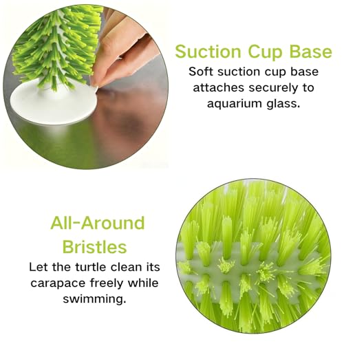 2Pcs Turtle Brush with Suction Cup, Turtle Shell Cleaning & Scrub Brush, Aquatic Turtle Tank Accessories