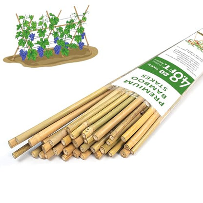 GAGINANG Natural Bamboo Garden Stakes, 4.8FT Trellis Plant Support 20Pcs | 4.8FT sturdy longer bamboo sticks for trellis, support tomato, vegetables, beans, trees and climbing plants indoor & outdoor. - size: 4.8Ft,Pack of 20