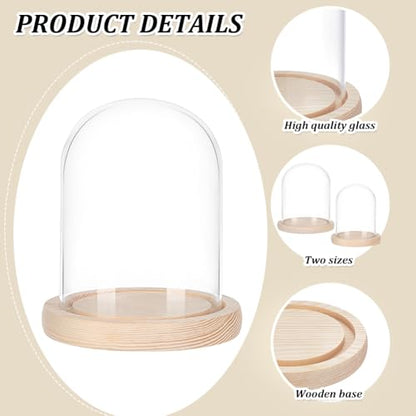 2 Pcs Cloche Glass Dome With Wood Base, 5.5"x6.5"/4.3"x5.3", Glass Cloche Dome Display with Handle For Cake, Plant, Wedding Party, Bell Jar Transparent