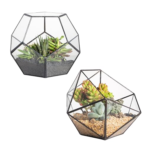 NCYP Glass Terrarium - Small Open Terrarium Planter, and Opened Bowl Shape Geometric Glass Terrarium, for Small Succulent Cacti, Ferns