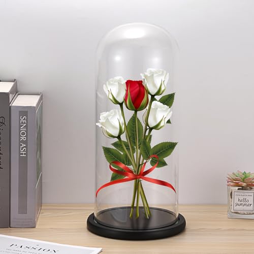 JUXYES 13.8 Inches Glass Display Dome Cloche with Black Wood Base, Clear Glass Dome Cloche Bell Terrarium Jar Glass Cloche Bell Jar Display for Plants Collectible Figure, 15x35cm