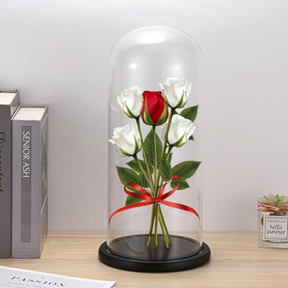 JUXYES 13.8 Inches Glass Display Dome Cloche with Black Wood Base, Clear Glass Dome Cloche Bell Terrarium Jar Glass Cloche Bell Jar Display for Plants Collectible Figure, 15x35cm