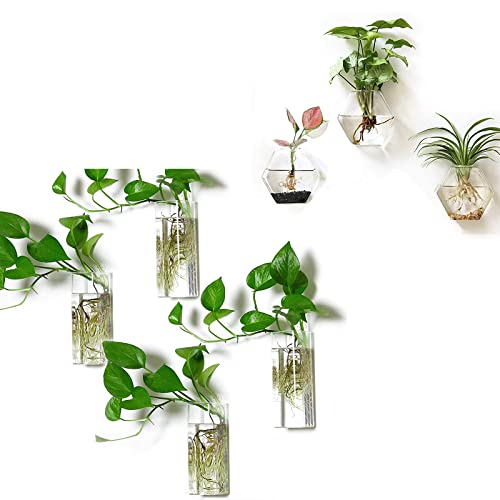 Kingbuy Wall Hanging Planter Glass Terrarium Propagation Station 4 Square Shaped Vase and 3 Large Hexagon Shaped Vase for Home Office Decor