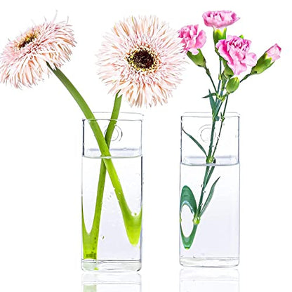Kingbuy Wall Hanging Glass Planter Flower Vase Plant Propagation Station for Hydroponic Plants Home Office Garden Decor - 2 Egg Shape Plant Terrarium and 4 Square Shape Vase