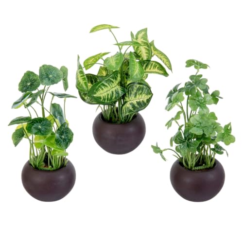 MyGift Artificial Faux Foliage Plants in Brown Ceramic Pots, Set of 3 - color: Brown (Green Leaf)