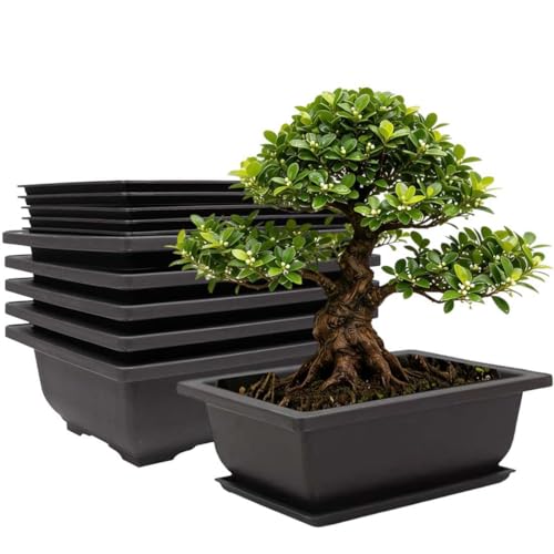 MUZHI 6PCS Retro Style Large Rectangular Garden Pots Bonsai Planters Pot with Tray Mocha Plastic Plant Pot with Pallet 8.9" (6PCS Rect 8.9") - size: 6PCS Rect 8.9"