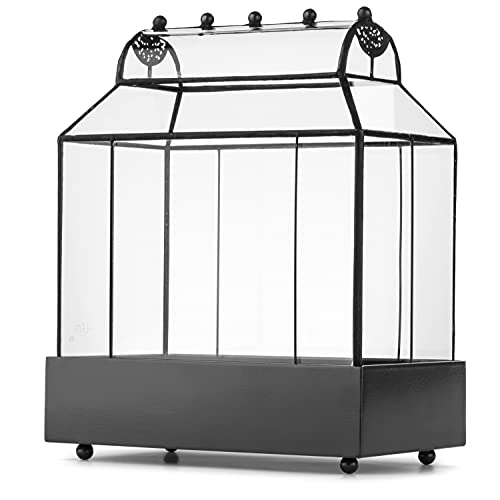 H Potter Glass Wardian Case, Curved Glass Terrarium Planter, 11.5 Inch Tall | Curved Glass, Tabletop Terrarium, Real Glass, Powder-Coated Metal, Indoor Plants