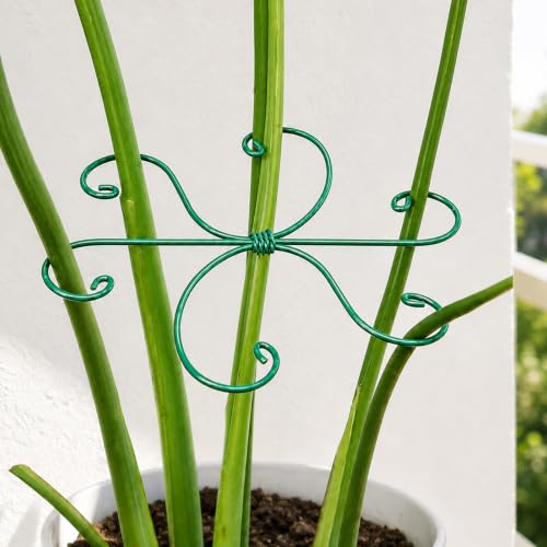 Yohsnor 5PCS Monstera Plant Stem Support- 6.5"x6.5" Green Stem Stabilizers - color: Green, size: 6.5IN*6.5IN