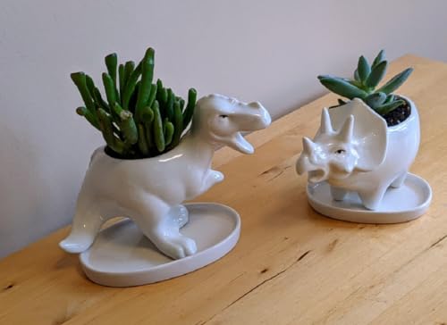 Cute Animal Shaped Planter Flower Pot Frog Shape Small Succulent pots with Drainage Ceramic Animal Planter (Dinosaur 4pcs) - color: Dinosaur 4pcs