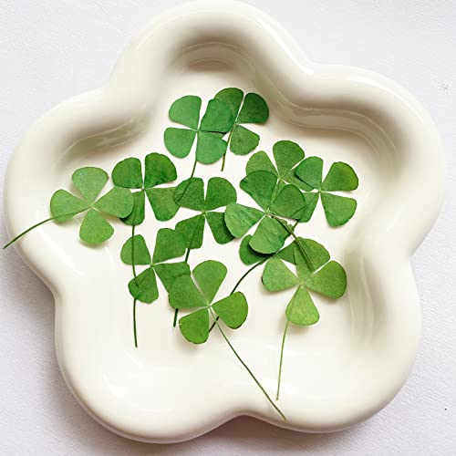 12 Pcs Dried Pressed Four Leaf Clover for Art Crafts DIY, YUNZHI Flat Leaves for Resin,Jewelry Making, Scrapbooking, Soap and Candle Making (0.79-0.98 inches) - size: 0.79-0.98 inches