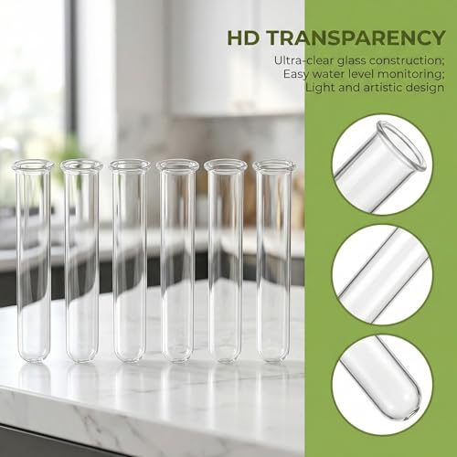 Homoyoyo 6 Pack Clear Glass Test Tube Vases 5.90 inch Hydroponic Plant Propagation Tubes for Water Cuttings Flower Arranging Desk Home and Office Decor