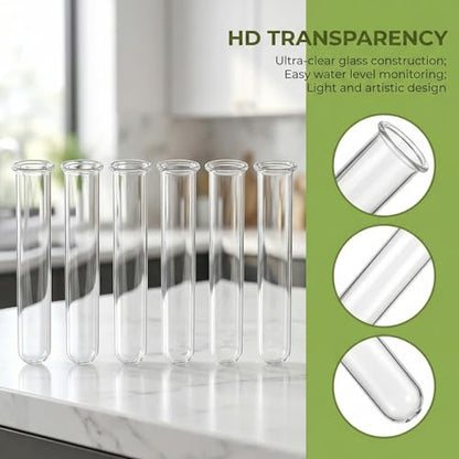 Homoyoyo 6 Pack Clear Glass Test Tube Vases 5.90 inch Hydroponic Plant Propagation Tubes for Water Cuttings Flower Arranging Desk Home and Office Decor
