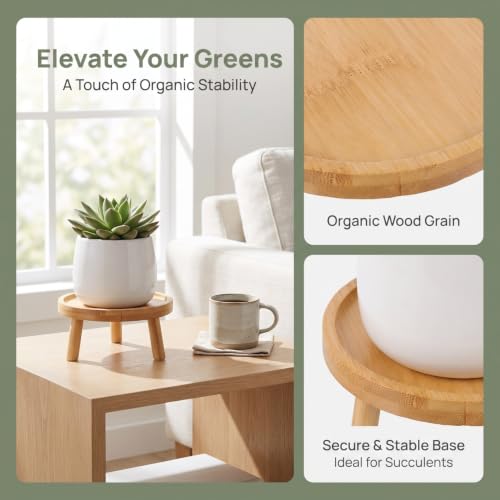 DOITOOL Wooden Indoor Plant Stand 4.33 Inch Flowerpot Tray Lightweight Decorative Plant Stool for Succulents Vase Display Shelf for Home Tabletop - size: 10.00X10.00X7.50CM