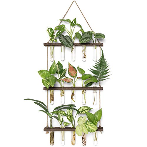 Mkono Plant Propagation Station, 3 Tier Brown Wall Hanging Vase Test Tubes | Glass Terrarium Planter,Wooden Stand,for Hydroponic Cuttings Flowers,Bathroom Living Room Office Decor,Plant Lovers Gift - color: Brown, size: Medium