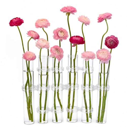 TBWHL 6 Pcs Test Tube Vases Clear Glass, Small Flower Vase for Home Decor