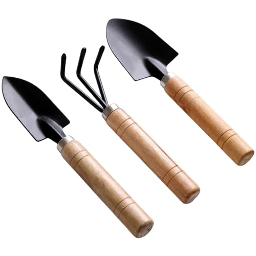 Mini Garden Tools Set with Wooden Handles, 3-Piece Succulent Planting Kit, Spade Shovel and Rake for Indoor Plants, Bonsai and Fairy Gardens (Black+Natural Wood)