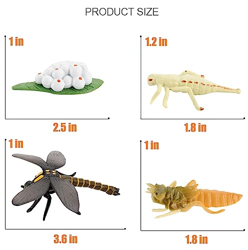 Montessori Life Cycle Animal Plastic Insect Figurines Learning & Education Toys for Kids, Preschool Activities (Dragonfly) - color: Dragonfly
