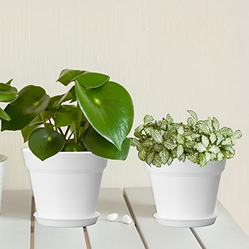 4 Inch Plastic Plant Pots 6 Pack with Drainage Holes and Tray，White | Small Flower Pots, Thickened Indoor Planters Seedlings Nursery Pots, African Violet, Succulent and All House Plants, - color: White, size: 6 Pack-4in