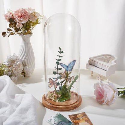 BENECREAT 4.6x12inch Eternal Transparent Flower Glass Cover, Glass Display Dome Cloche Jar with Sandy Brown Solid Wood Base for DIY Flower Craft - color: Sandy Brown