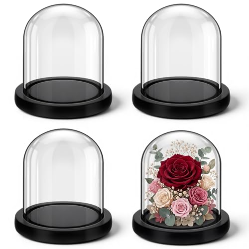 4 Pcs Glass Display Dome Cloche Clear Dome Cloche with Wood Base Tabletop Jar Display Case for Home Office Wedding(Black,4 x 4.7 Inch) - color: Black, size: 4 x 4.7 inch