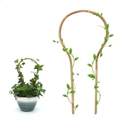 COLOtime 3Pack Small Plant Trellis Bamboo Trellis for Indoor Potted Plants - size: Round shaped, 3 Pack