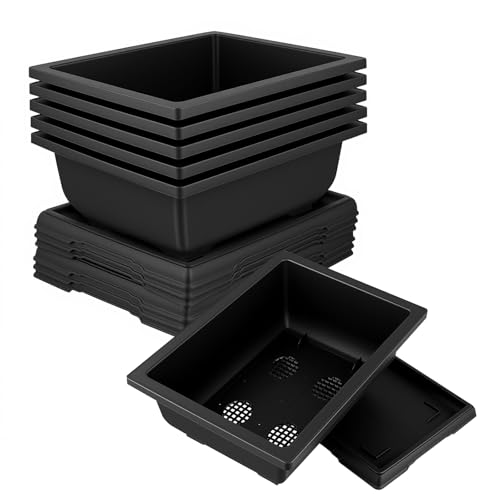 MANCHAP 6 Pack 11 Inch Plastic Bonsai Training Pots, Large Rectangular Pot with Drainage Tray, Plant Flower Growing Bonsai Tree Planter for Garden, Yard, Home, Black
