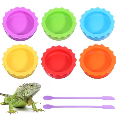 6Pcs Crested Gecko Tank Accessories: Reptile Spoon & Feeding Cups