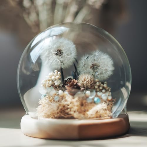 uxcell Round Cloche Glass Dome, 7.9" x 5.9" Decorative Glass Display Bell Jar, Glass Dome Cloche with Light Brown Base for DIY Flower Craft, Collectibles Specimens Plants Dustproof - size: 7.9" x 5.9"