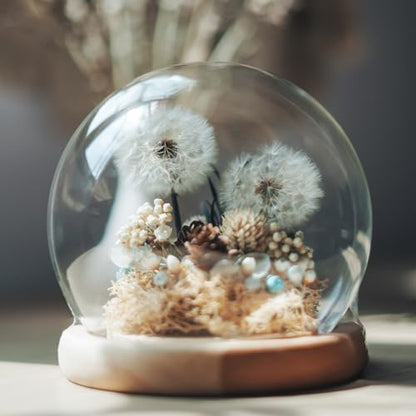 uxcell Round Cloche Glass Dome, 7.9" x 5.9" Decorative Glass Display Bell Jar, Glass Dome Cloche with Light Brown Base for DIY Flower Craft, Collectibles Specimens Plants Dustproof - size: 7.9" x 5.9"