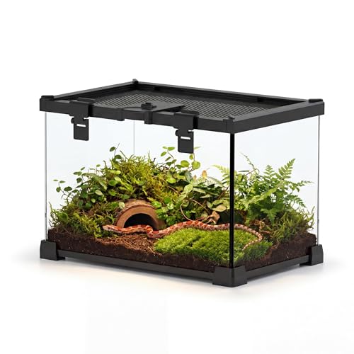 12"x8"x8" Reptile Terrarium, Escape-Proof Glass Terrestrial Vivarium for Hatchling Snakes Such as Corn Snakes, with Escape-Proof Lock & Feeding Hatch - size: 12"D x 8"W x 8"H